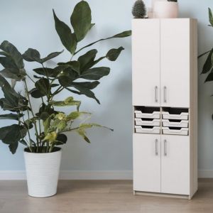 Armadio con contenitori per lo stoccaggio